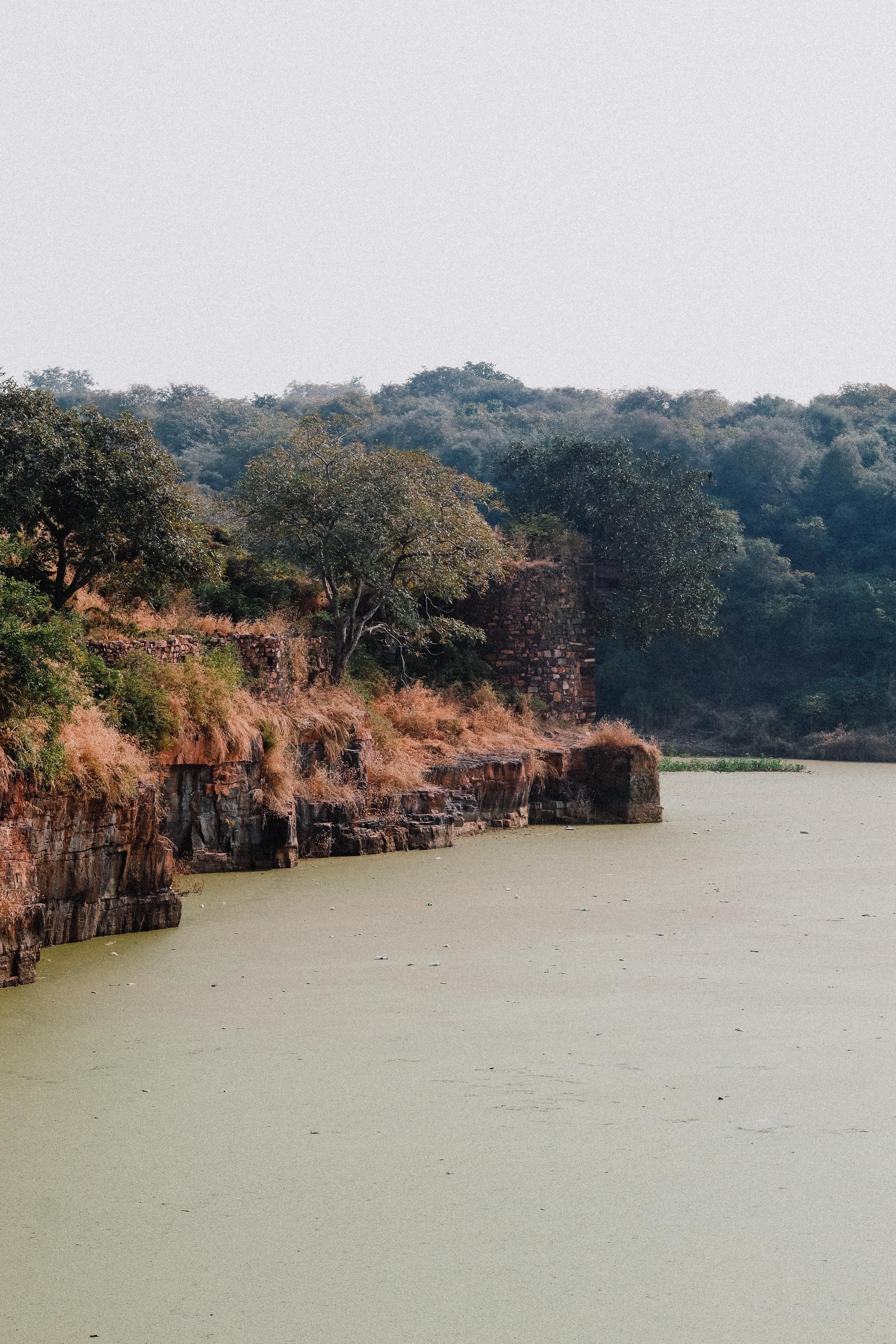 A picturesque view of a forested riverbank with eroded cliffs and lush trees.