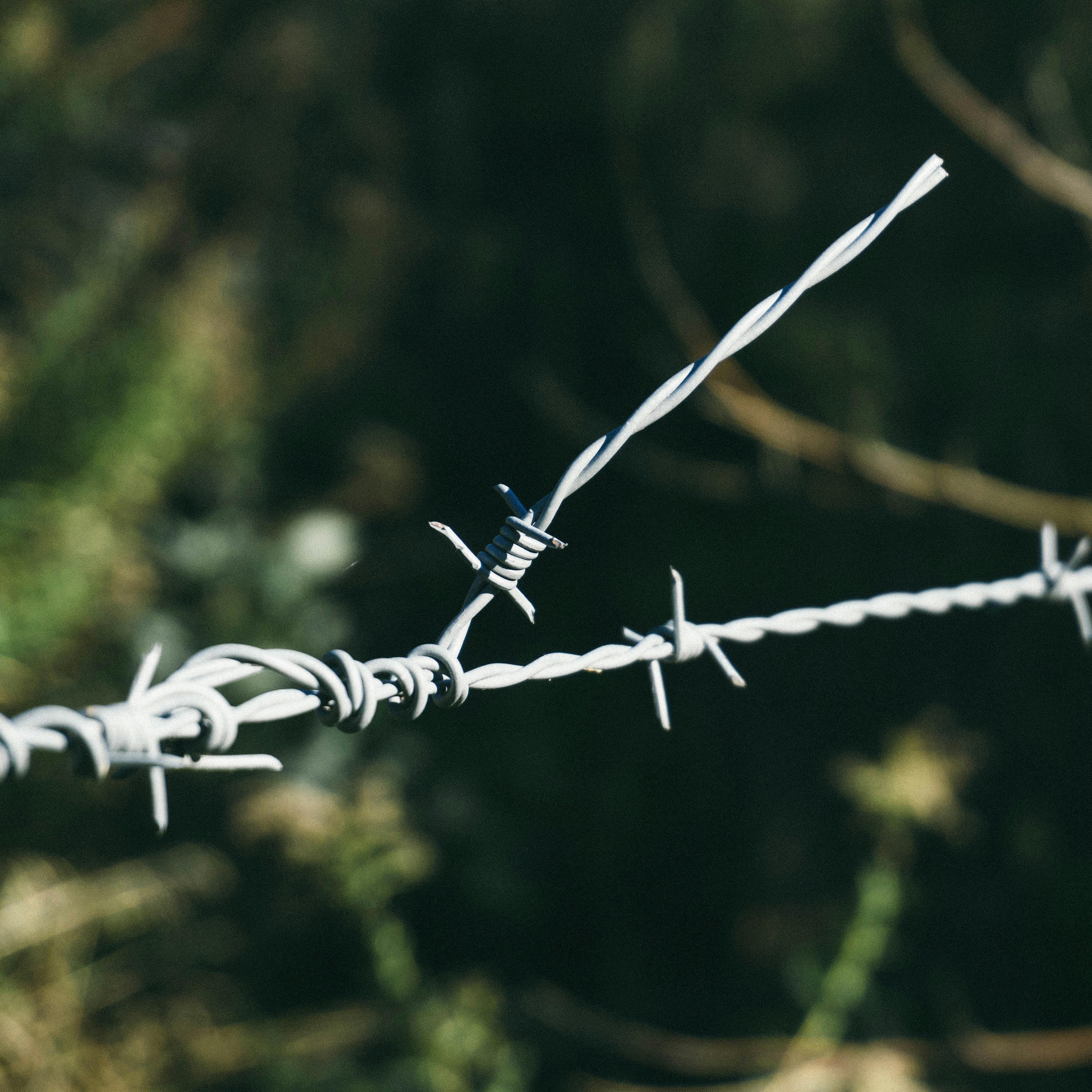 Free stock photo of barb wires, barbed wire