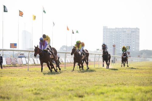 View of Jockeys Riding Racehorses