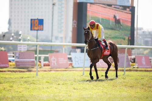 A Jockey Riding a Racehorse