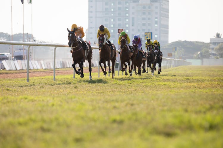 Horses Racing In Town