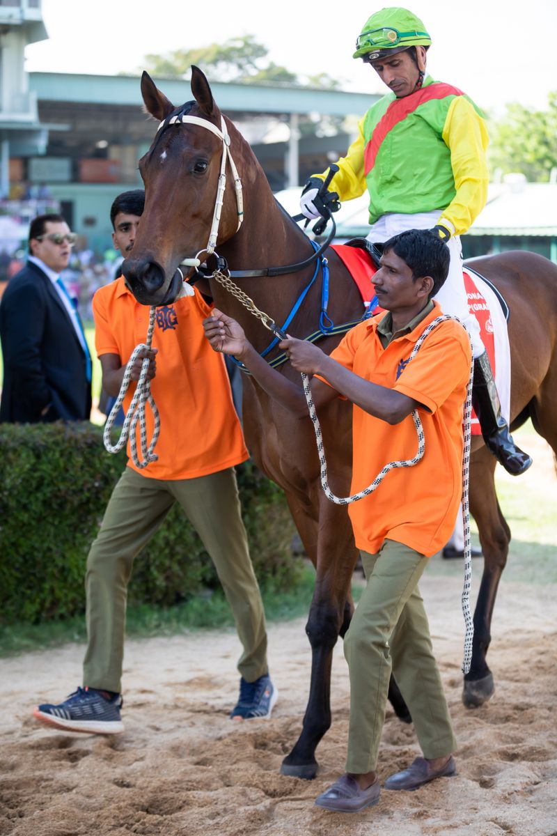 Jockey leading a horse on a race track at a UK meeting