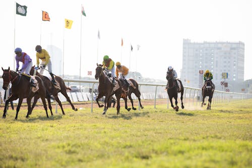 View of Jockeys Riding Racehorses