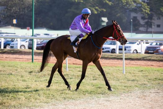 A jockey is riding a horse in a race