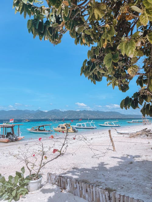 Základová fotografie zdarma na téma bali, čluny, exotický