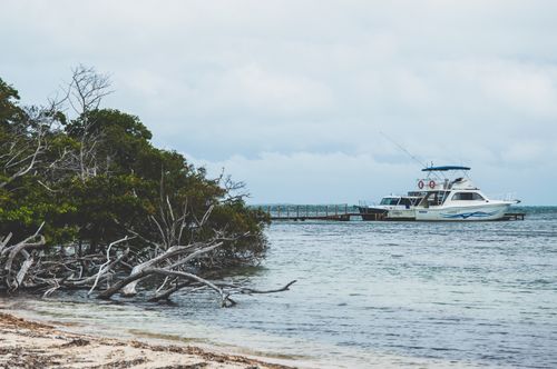 Free A peaceful coastal landscape featuring a motorboat docked amid trees, under an overcast sky. Stock Photo