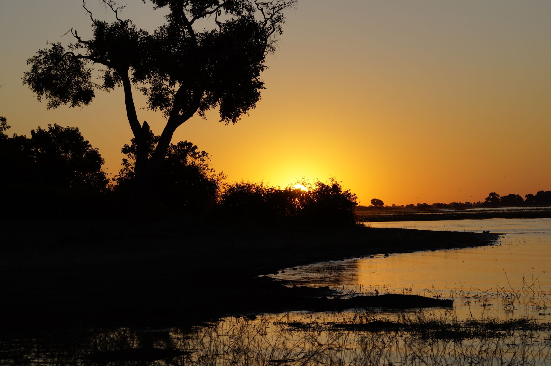 Captivating sunset over a tranquil waterside in Nunga, Botswana, with silhouetted trees.