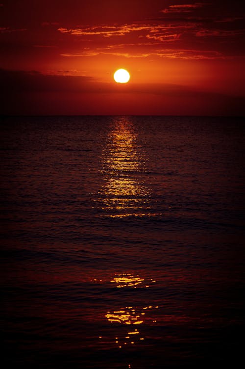 Red Sunset over Sea Shore