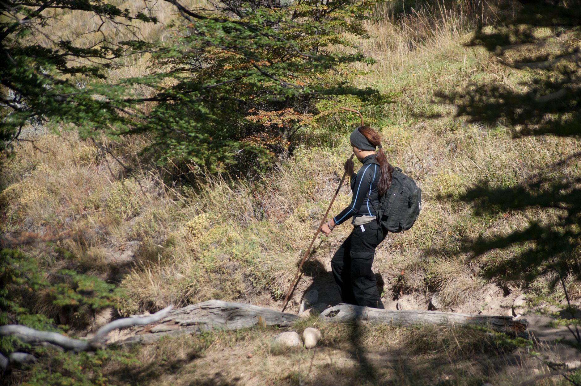 Explorá el W Trek con tours guiados en Torres del Paine