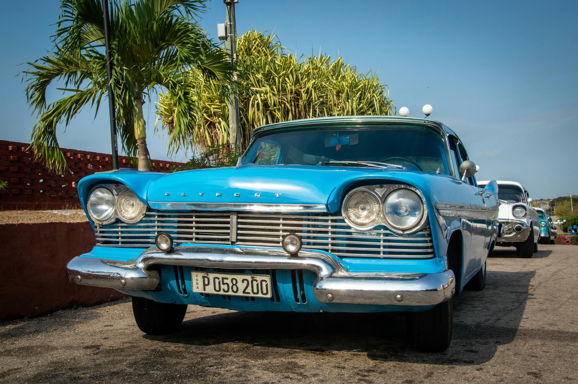 A classic blue Plymouth Savoy parked outdoors by palm trees, evoking a retro summer vibe.