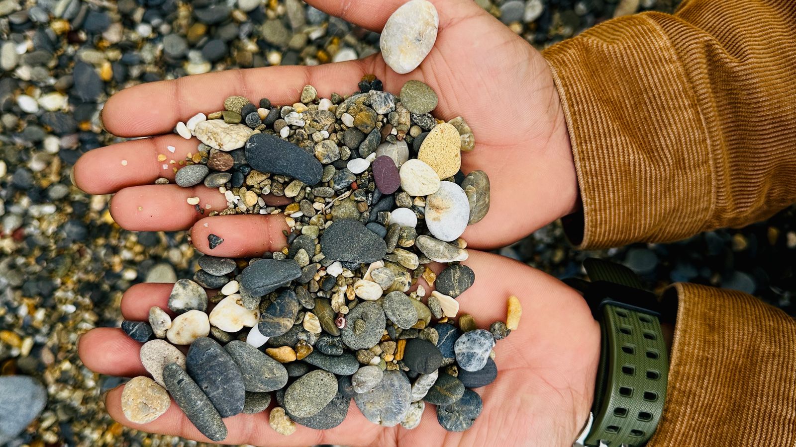Hands holding a collection of small pebbles