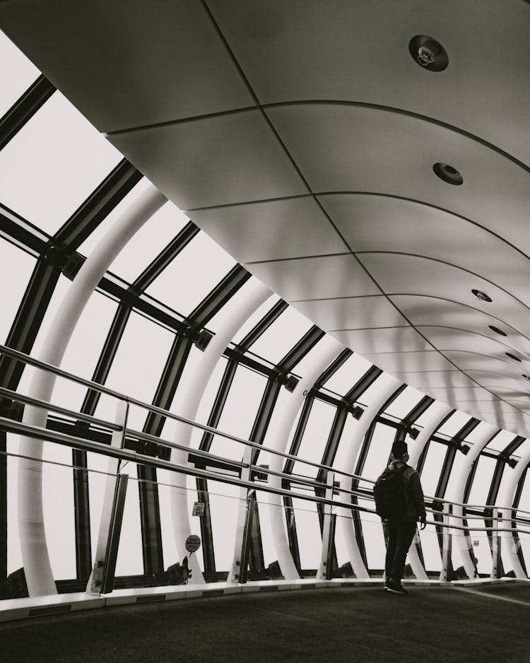 Man Standing Near Windows In Modern Glass Construction