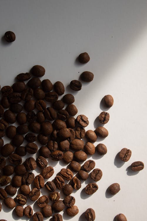 コーヒー豆, 上面図, 垂直ショットの無料の写真素材