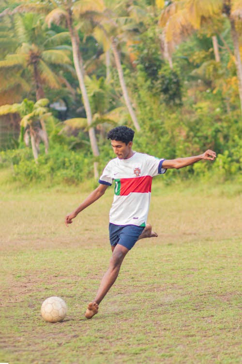 インド, サッカーファン, サッカー場の無料の写真素材