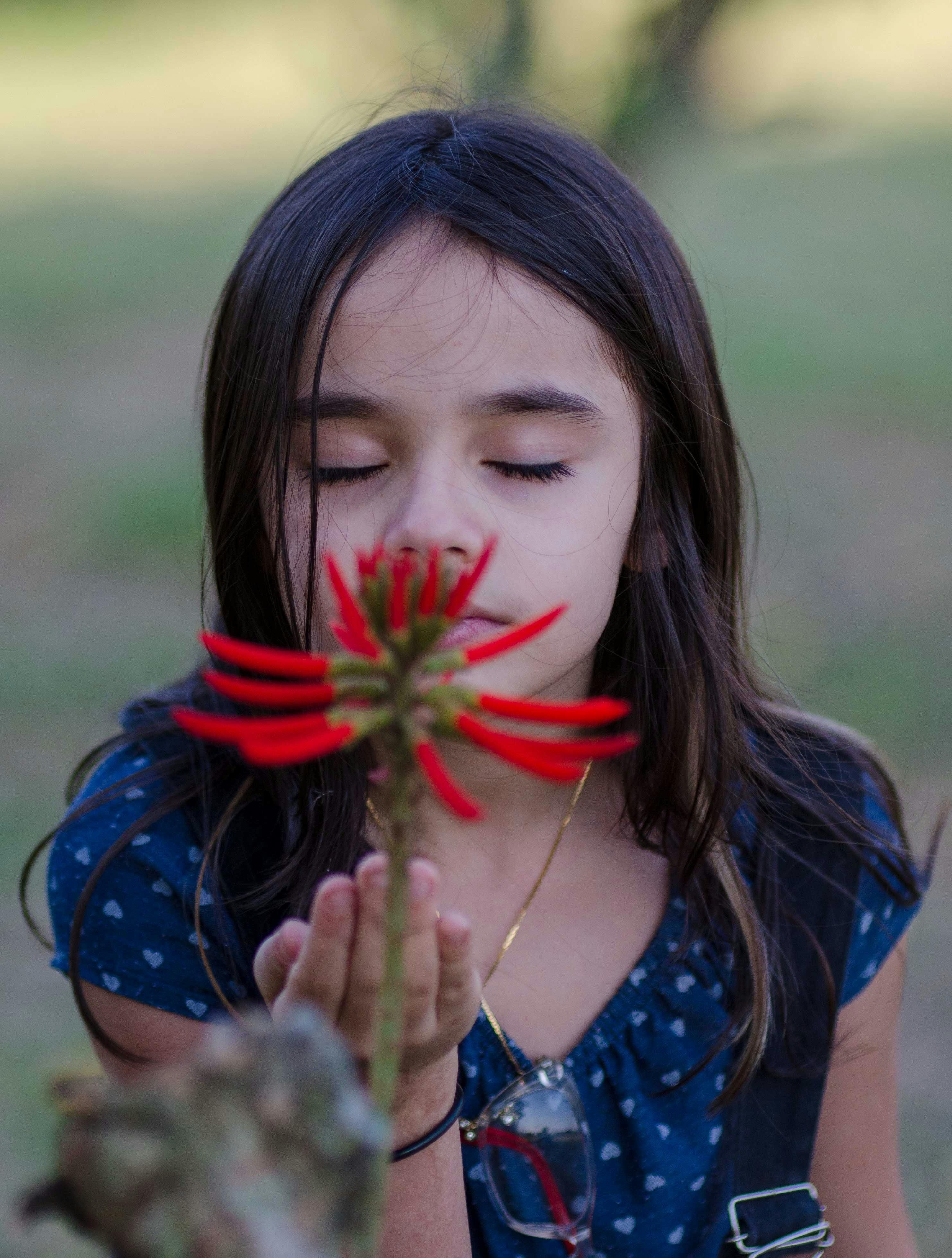 Little Girl Smelling Red Flower · Free Stock Photo