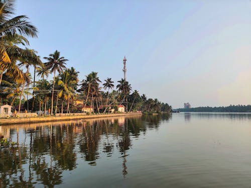Kostnadsfri bild av kokospalmer, sjö, spegelreflektion