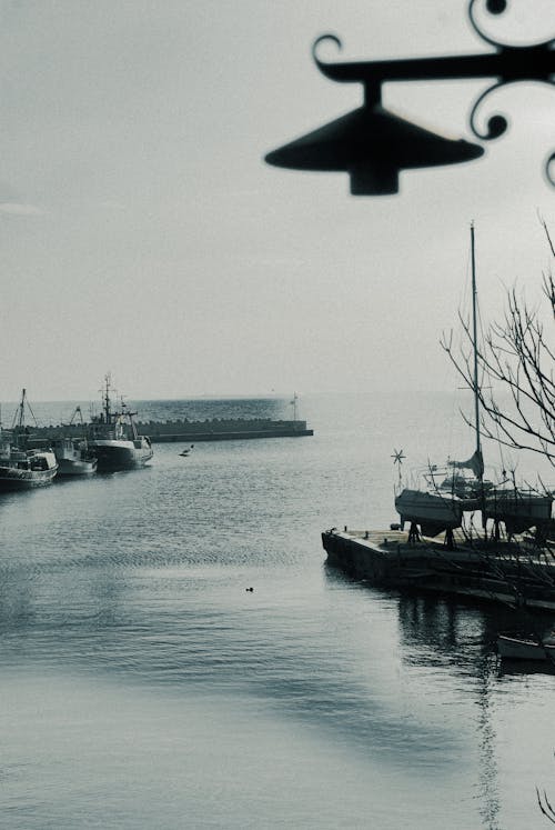 Základová fotografie zdarma na téma černobílý, čluny, horizont