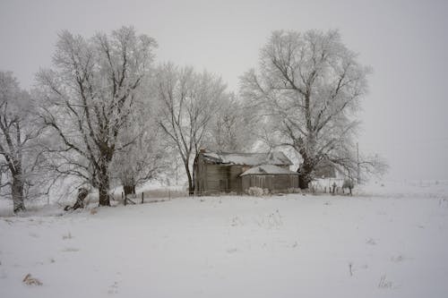 Hut in Countryside in Winter