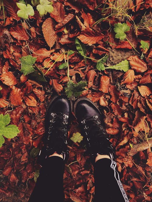 Person Stepping on Dry Leaves