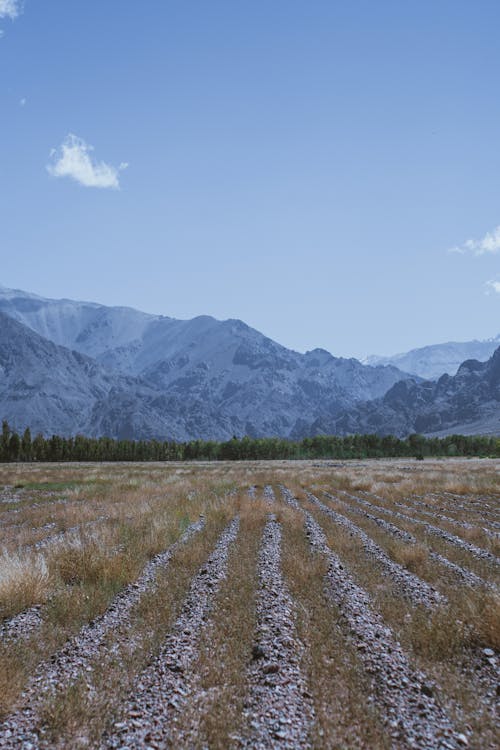 Immagine gratuita di campagna, campo, montagna innevata