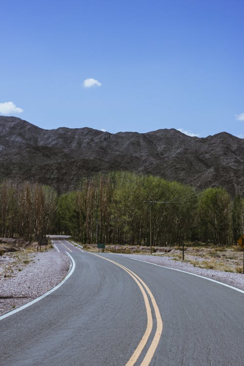 Immagine gratuita di alberi, asfalto, catena montuosa