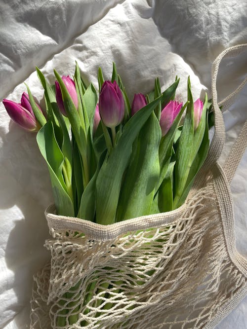 Free A bag with pink tulips in it on a bed Stock Photo