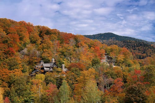 Clouds over Autumn Forest