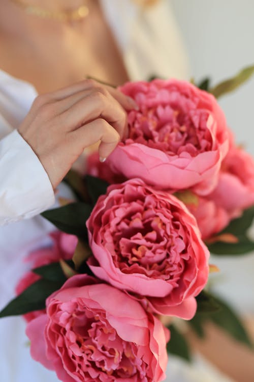 Woman Hand over Pink Roses