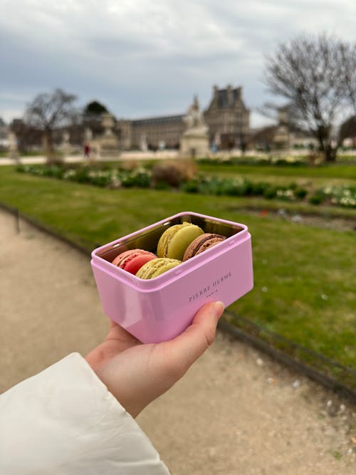 Hand holding Box with Macarons