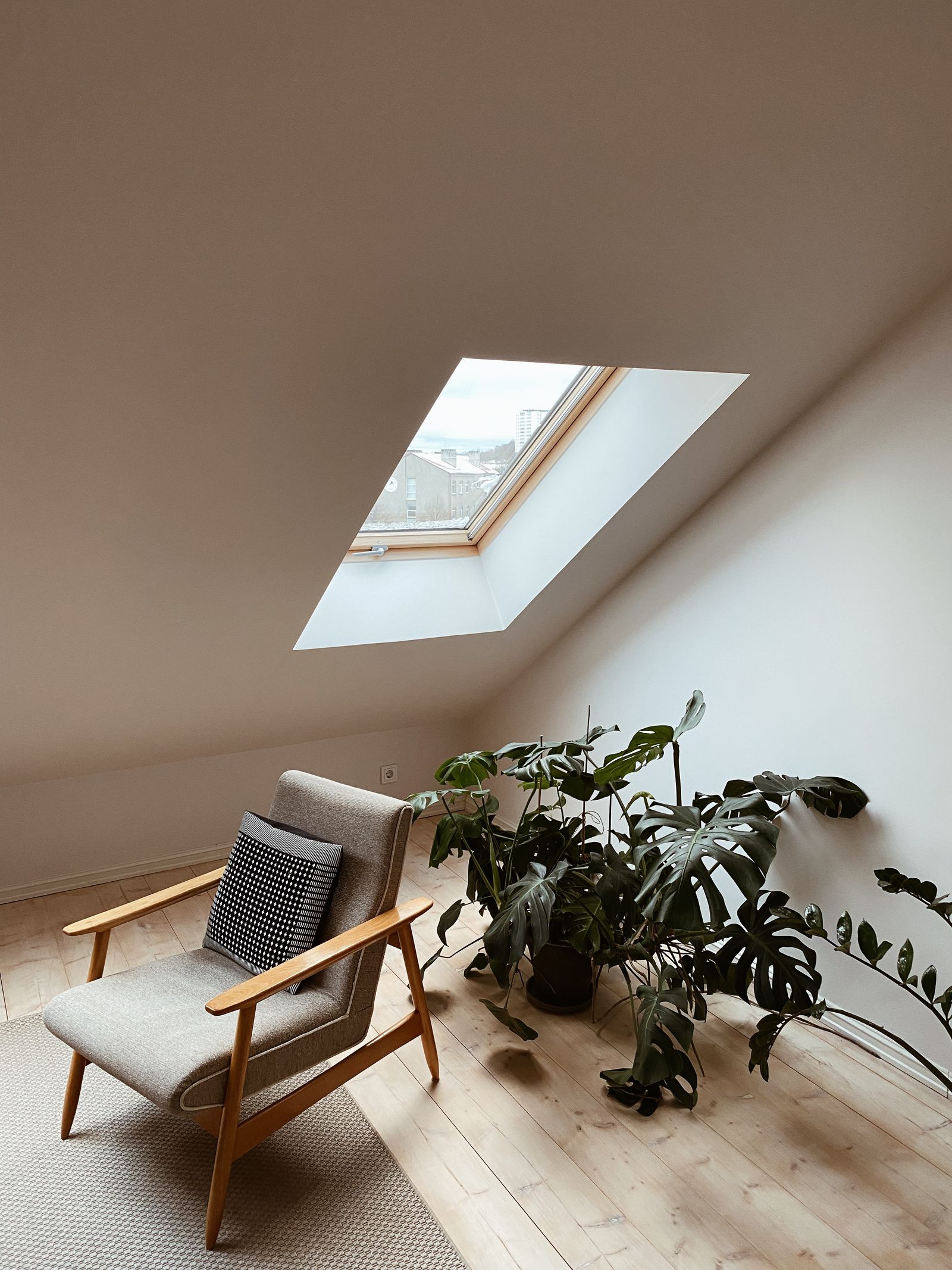 An armchair beneath a skylight, beside a leafy houseplant