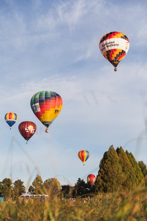 Balões Sobre Waikato Quinta Feira De Manhã 2023