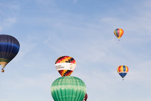 Balões Sobre Waikato Quinta Feira De Manhã 2023