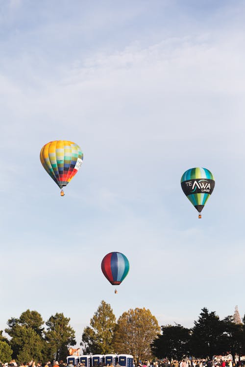 Hot Air Balloons Above a Audience at the Annual Balloons Over Waikato Festival