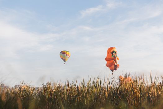 Colorful hot air balloons soar over a lush meadow in Hamilton, New Zealand.