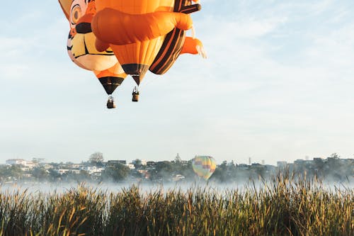 Colorful Hot Air Balloons Flying over a Meadow 