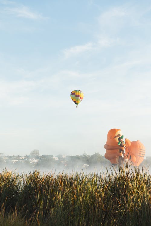 Balloon Flying over Field