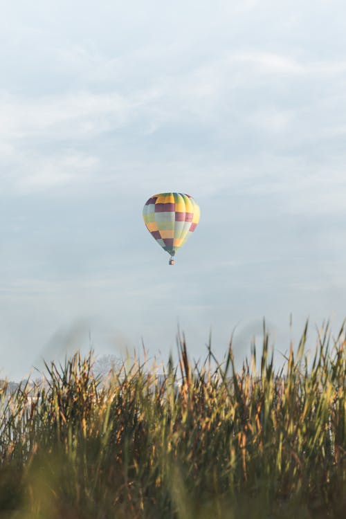 Checkered Hot Air Balloon Flying over the Pasture
