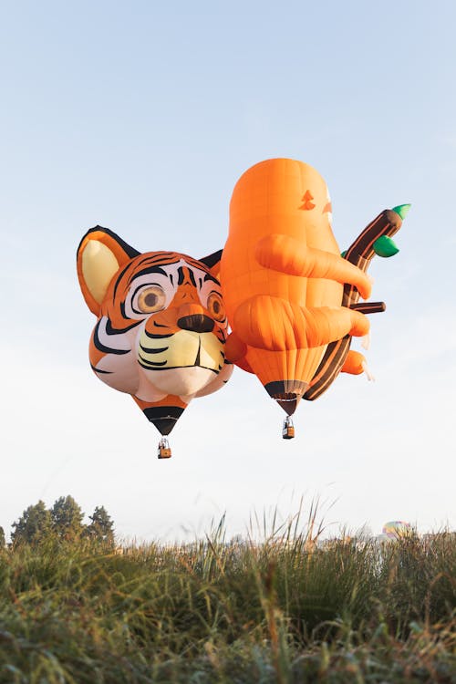 Orange Hot Air Balloons Flying Over the Meadow
