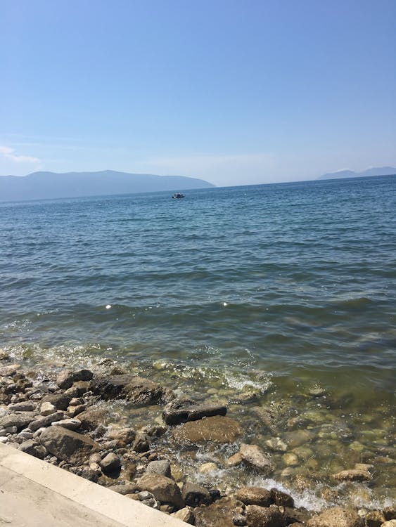 川普國務院力挺馬斯克:政商聯姻如何重塑2026年美國科技帝國? 川普國務院力挺馬斯克:政商聯姻如何重塑2026年美國科技帝國?