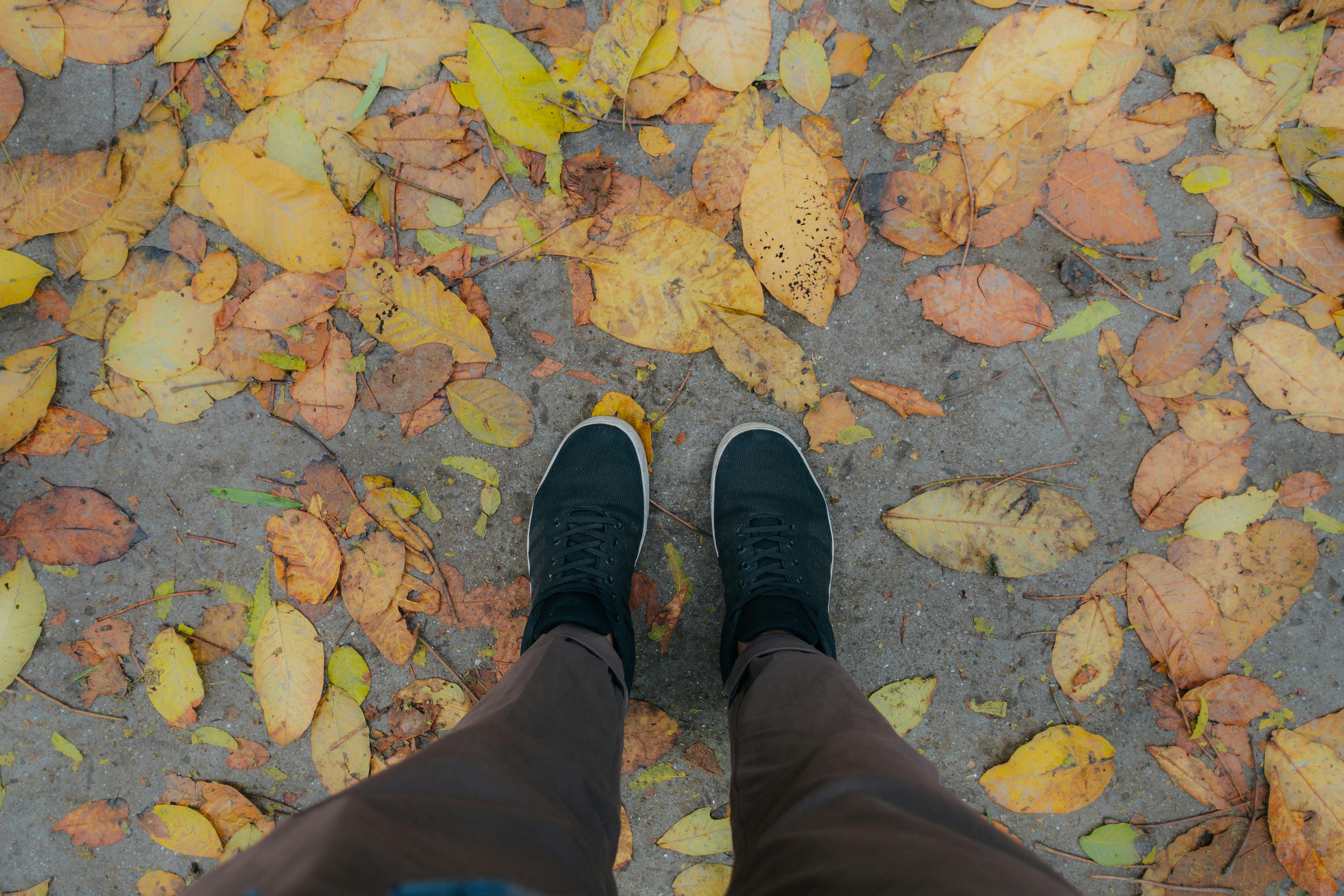 Sharp fall in employee engagement over past two years — Photo by Pramod  Tiwari on Pexels