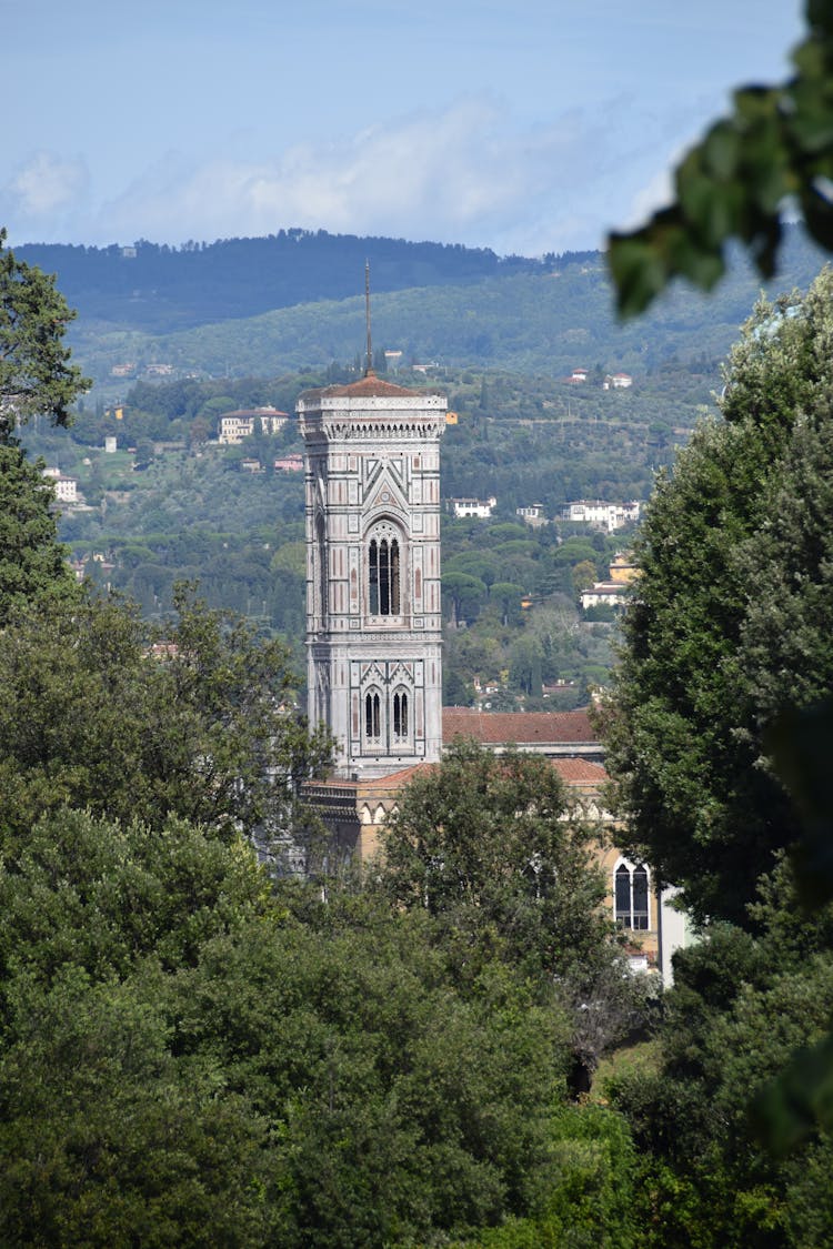 Trees And Church Tower Behind