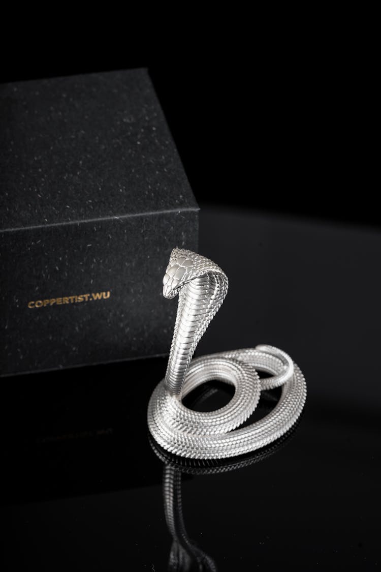 Snake Figurine And Box