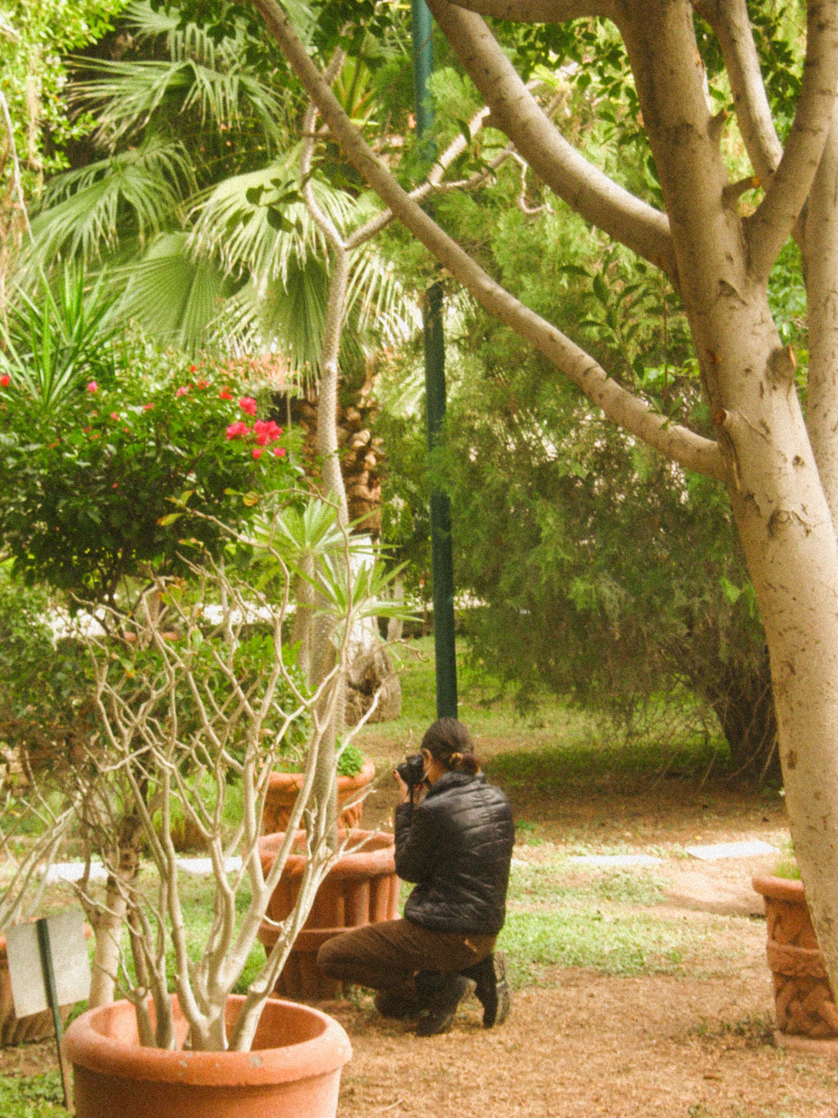Woman in a garden taking photos amid lush plants and trees, showcasing nature photography.