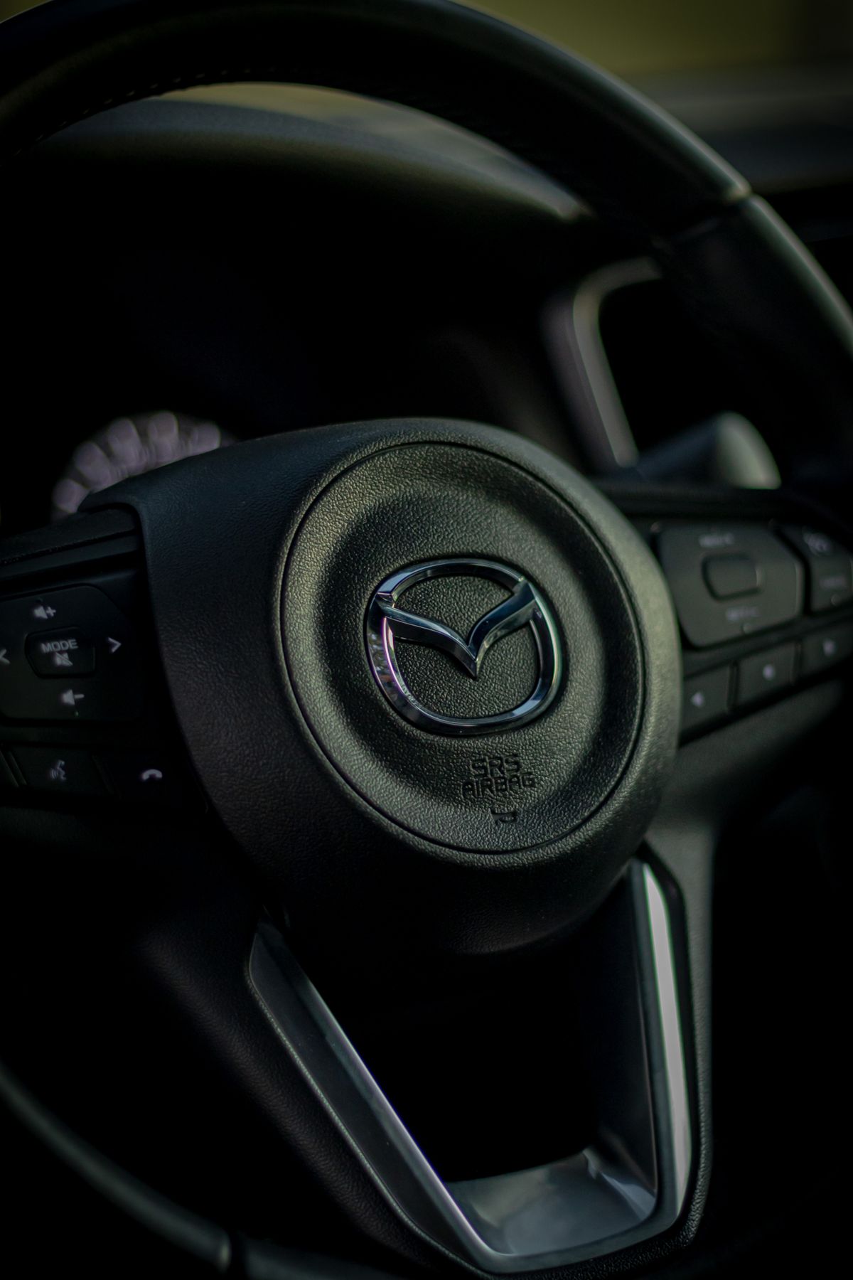 Steering Knob