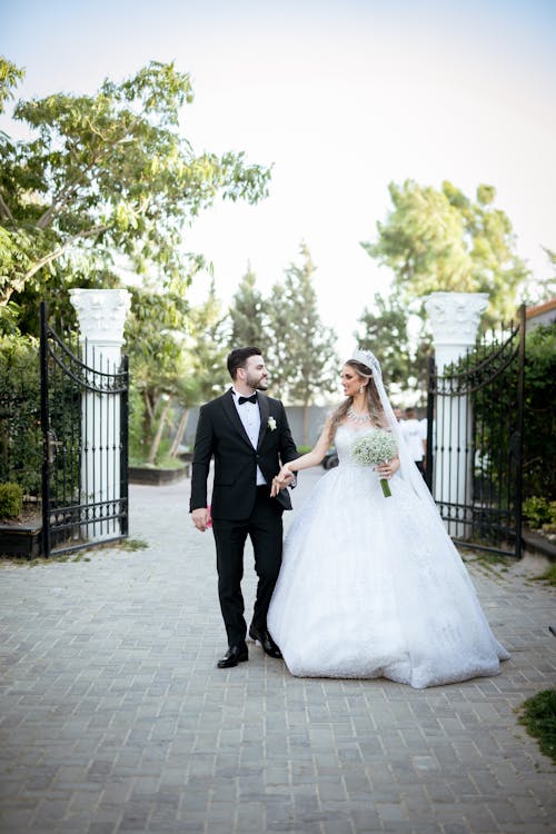 Foto profissional grátis de árvores, fotografia de casamento, fotografia de moda