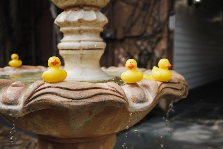 Toy Ducks On Fountain