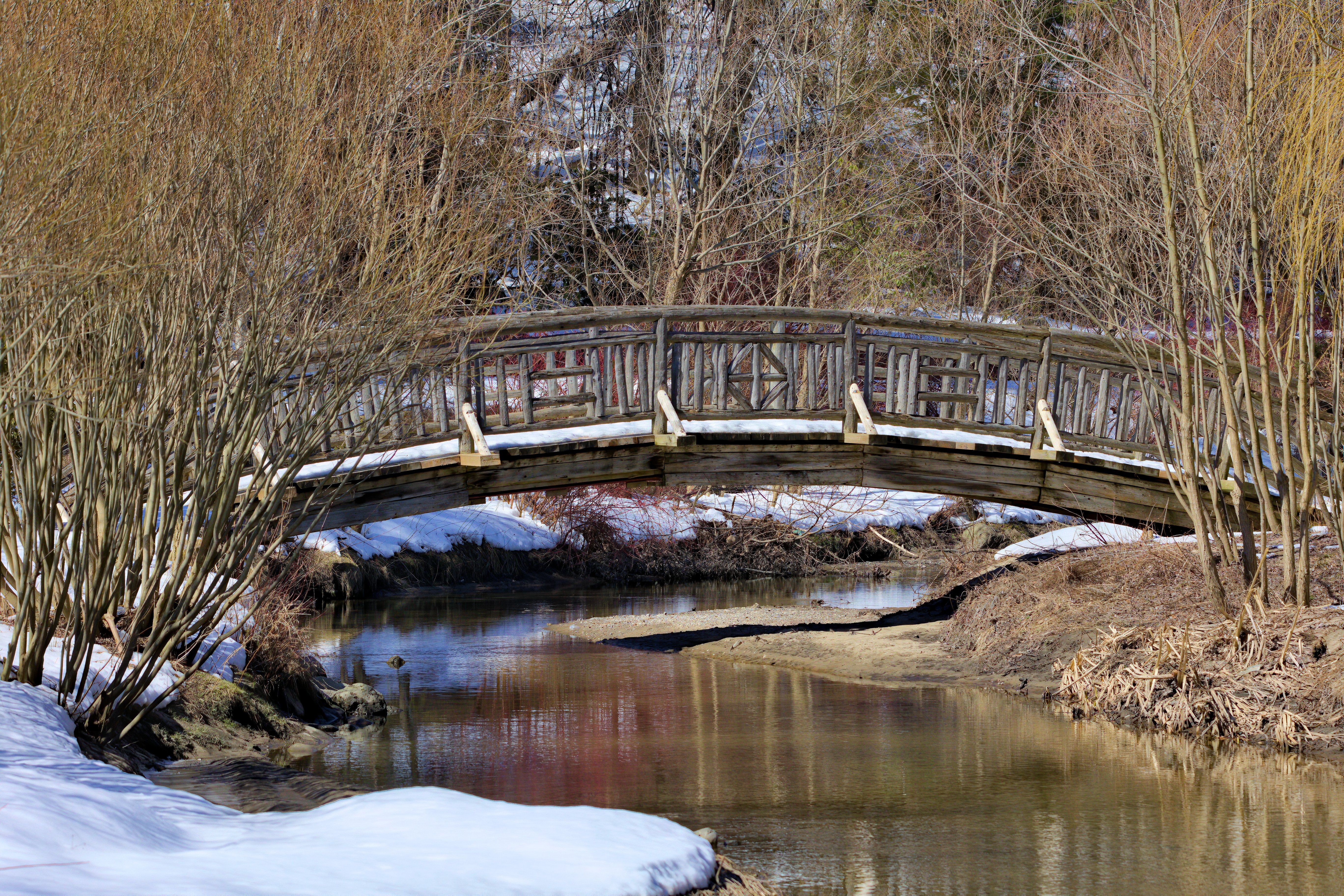 Carol Stream