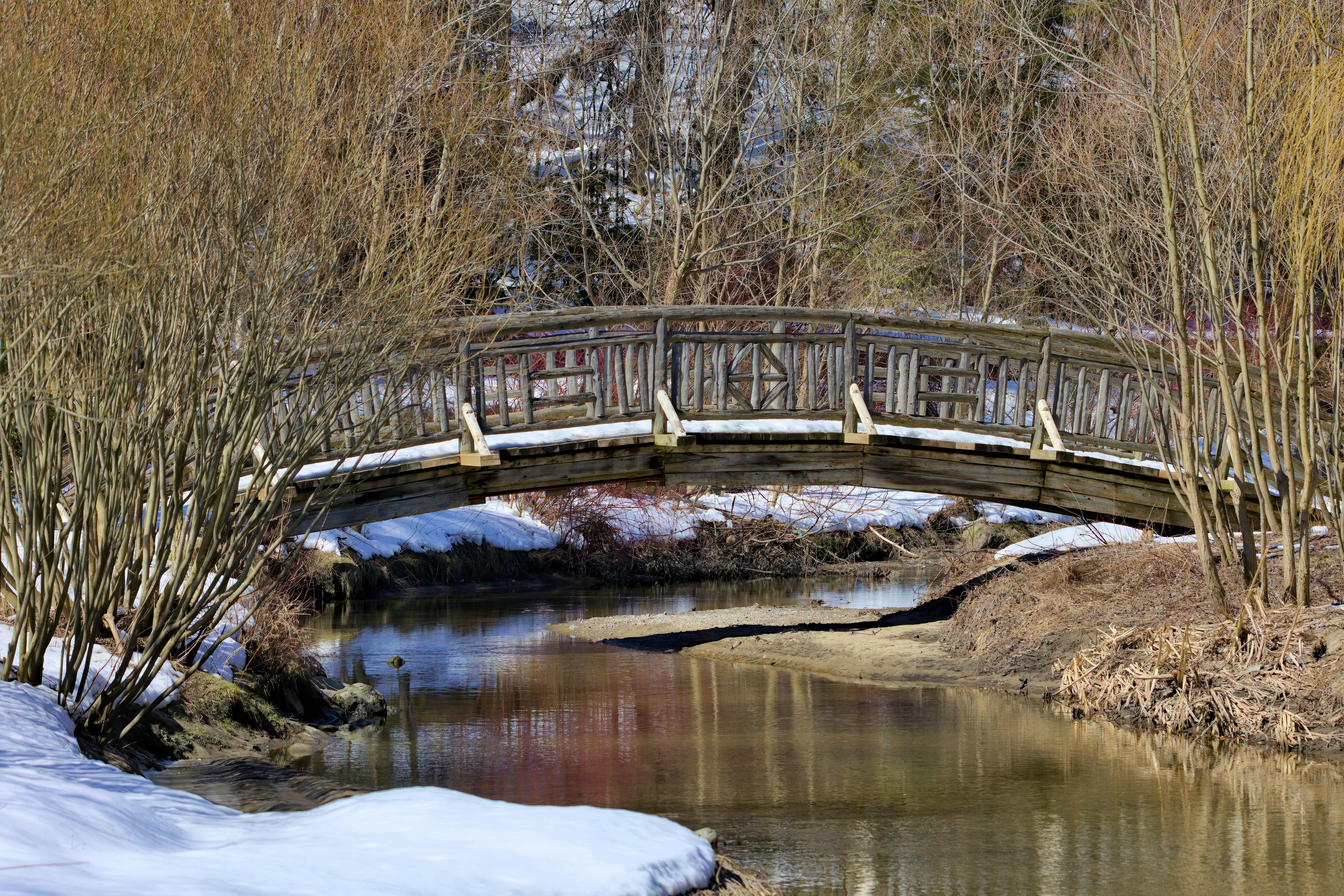 Puente Sobre Un Río · Foto de stock gratuita