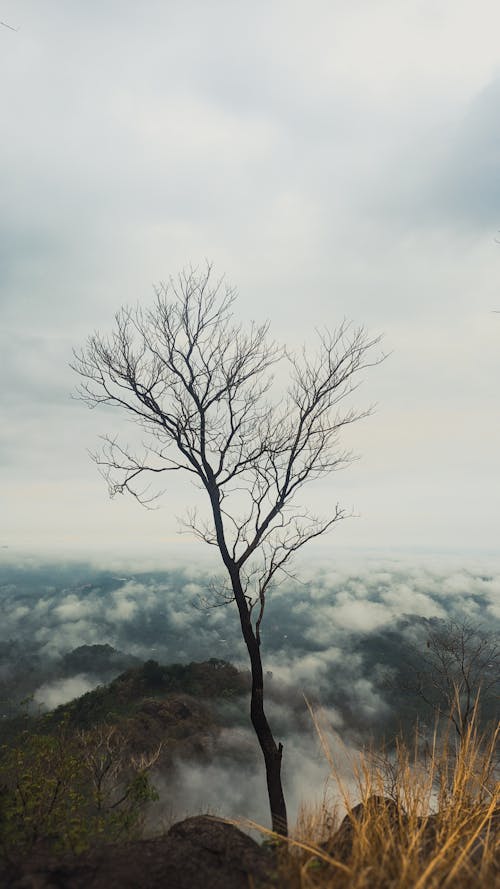 Gratis stockfoto met boven de wolken!, esthetisch behang, uitzicht op de bergen