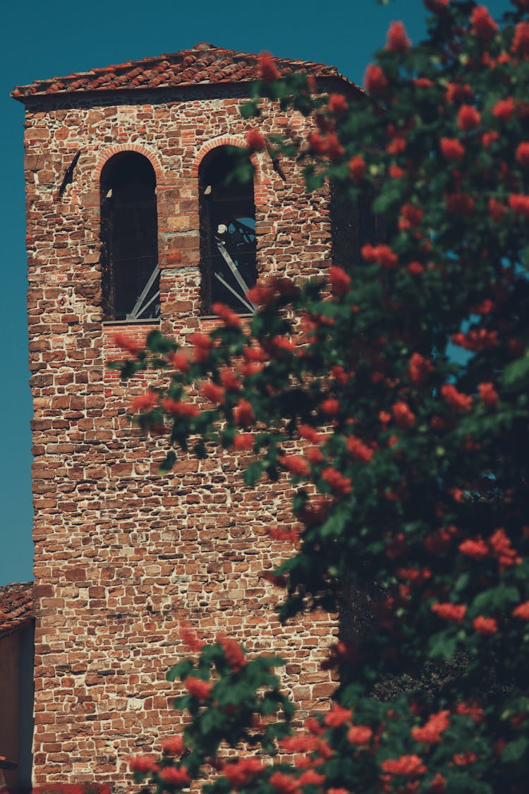 Stone Tower Behind Tree